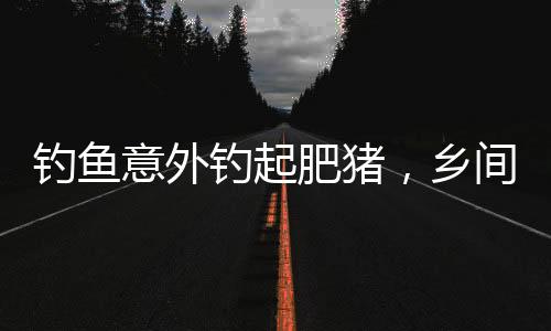 釣魚意外釣起肥豬，鄉(xiāng)間故事激起熱議