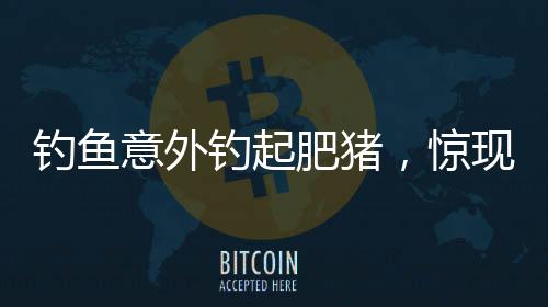 釣魚意外釣起肥豬，驚現(xiàn)垂釣新奇跡！