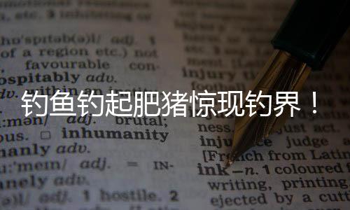 釣魚釣起肥豬驚現(xiàn)釣界！重達(dá)兩百多斤