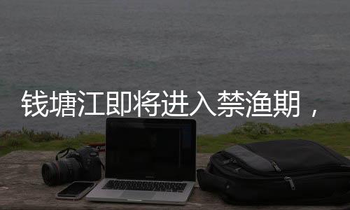 錢塘江即將進(jìn)入禁漁期，保護(hù)漁業(yè)資源，促進(jìn)生態(tài)平衡