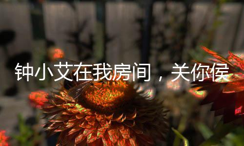 鐘小艾在我房間，關(guān)你侯亮平屁事