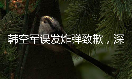 韓空軍誤發(fā)炸彈致歉，深刻反省提升軍事安全