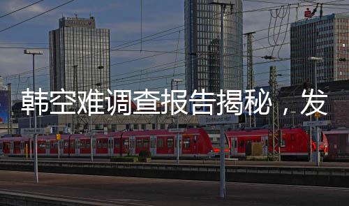 韓空難調(diào)查報告揭秘，發(fā)動機吸入花臉鴨事件全程解析