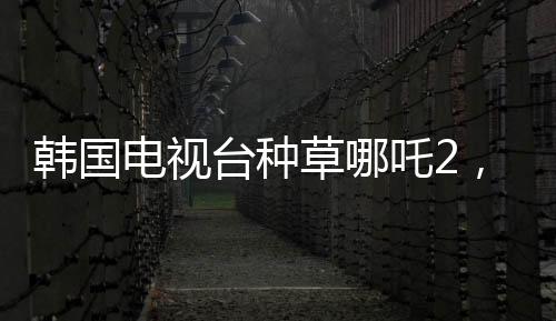 韓國電視臺種草哪吒2，一部跨越國界的動畫魅力
