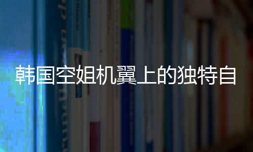 韓國空姐機翼上的獨特自拍，職業(yè)與生活的獨特交融