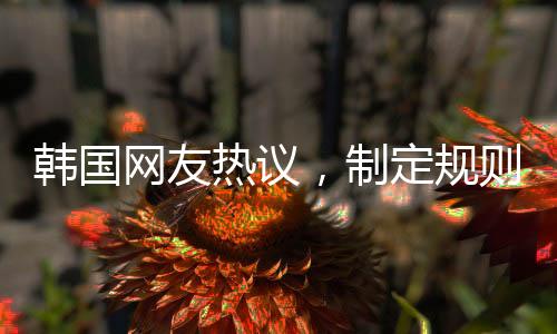 韓國網(wǎng)友熱議，制定規(guī)則者應(yīng)否辭職？引發(fā)廣泛討論的背后原因