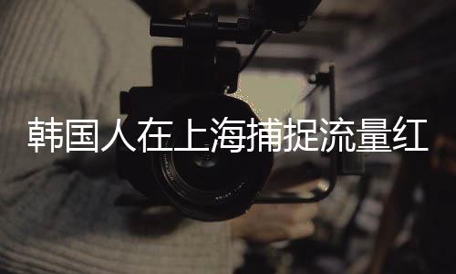 韓國人在上海捕捉流量紅利，成功變現(xiàn)引領(lǐng)新一波商機