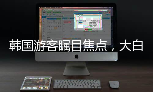 韓國游客矚目焦點，大白兔奶糖的甜蜜誘惑