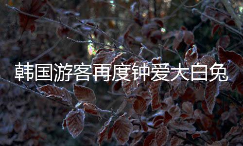 韓國游客再度鐘愛大白兔奶糖，文化與美味的交織