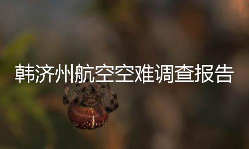 韓濟(jì)州航空空難調(diào)查報(bào)告公布，深度分析事故原因與后續(xù)措施
