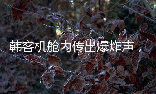 韓客機(jī)艙內(nèi)傳出爆炸聲，機(jī)翼冒火緊急返航