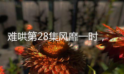 難哄第28集風(fēng)靡一時(shí)，引爆觀眾熱情