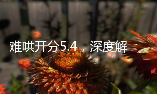 難哄開分5.4，深度解析這部作品的魅力與挑戰(zhàn)