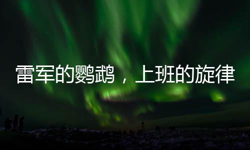雷軍的鸚鵡，上班的旋律與下班的韻律