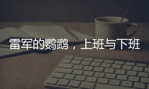 雷軍的鸚鵡，上班與下班的神奇故事