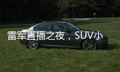 雷軍直播之夜，SUV小米七智駕的嘗試與挑戰(zhàn)傳奇難度的熱議上演