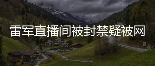 雷軍直播間被封禁疑被網(wǎng)友舉報(bào)，揭秘背后的故事與原因