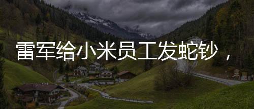 雷軍給小米員工發(fā)蛇鈔，揭秘一場(chǎng)特殊的福利活動(dòng)