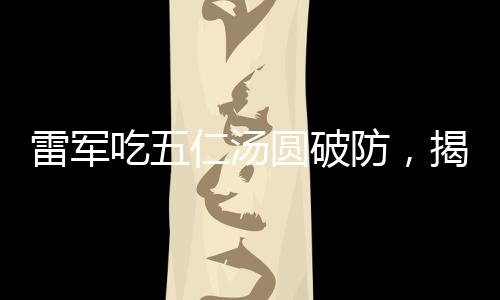 雷軍吃五仁湯圓破防，揭秘背后的故事與情感共鳴