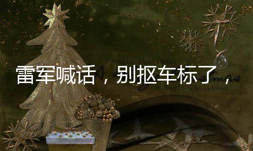 雷軍喊話，別摳車標(biāo)了，品質(zhì)與品牌共鑄未來