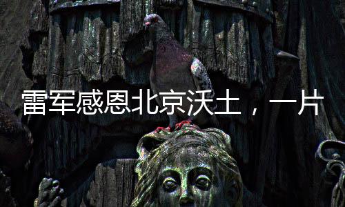 雷軍感恩北京沃土，一片成就夢(mèng)想的繁榮之地