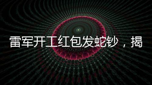 雷軍開工紅包發(fā)蛇鈔，揭秘科技與文化的融合新篇章