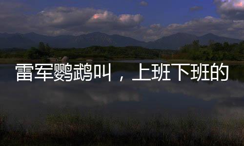 雷軍鸚鵡叫，上班下班的獨(dú)特故事
