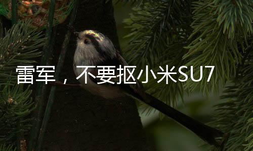 雷軍，不要摳小米SU7 Ultra鍍金車標(biāo)