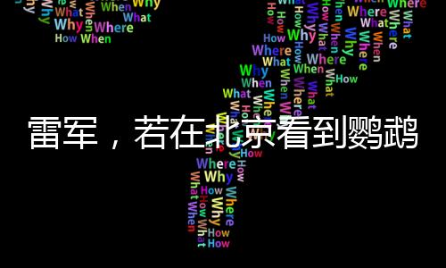 雷軍，若在北京看到鸚鵡綠，那便是我