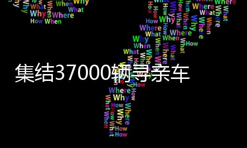 集結(jié)37000輛尋親車(chē)，一場(chǎng)跨越全國(guó)的尋親大行動(dòng)