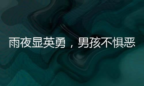 雨夜顯英勇，男孩不懼惡臭，黑洞中救出四只被困小狗