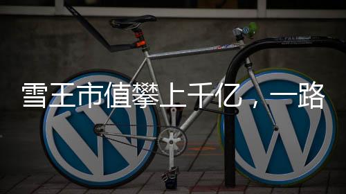 雪王市值攀上千億，一路高歌猛進，成就行業(yè)巨頭