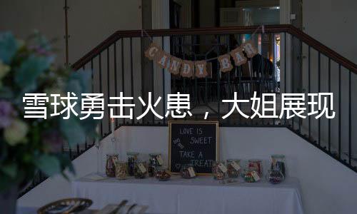 雪球勇?lián)艋鸹?，大姐展現(xiàn)不凡身手