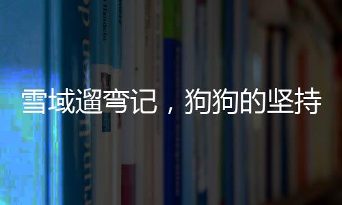 雪域遛彎記，狗狗的堅(jiān)持與主人的溫情