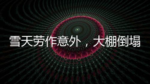 雪天勞作意外，大棚倒塌顯現英勇瞬間