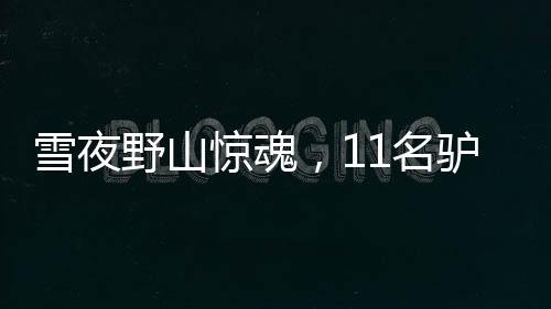 雪夜野山驚魂，11名驢友被困，年齡最大者達(dá)68歲