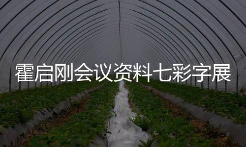 霍啟剛會議資料七彩字展現(xiàn)，展現(xiàn)獨特魅力與深度洞察