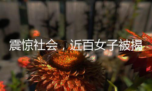 震驚社會，近百女子被揭露遭囚禁取卵事件