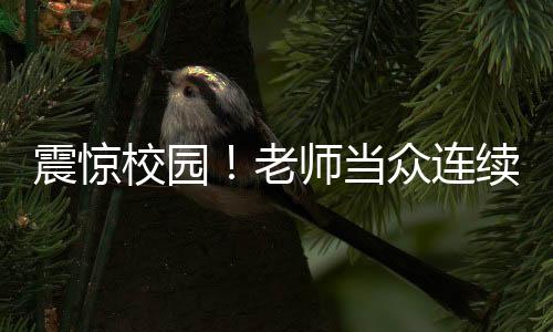 震驚校園！老師當眾連續(xù)掌摑學生，當?shù)鼗貞o急介入調(diào)查處理