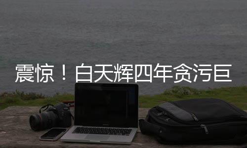 震驚！白天輝四年貪污巨額達(dá)11.08億，揭開金融腐敗的驚人內(nèi)幕