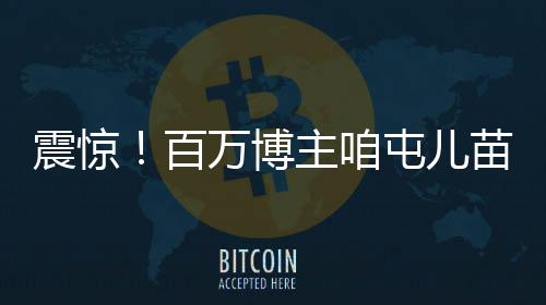 震驚！百萬(wàn)博主咱屯兒苗嫂小兒子離世，引發(fā)社會(huì)廣泛關(guān)注