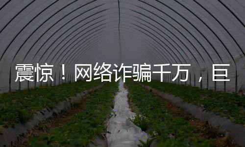 震驚！網(wǎng)絡詐騙千萬，巨額打賞700萬背后的故事