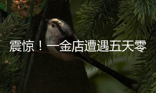 震驚！一金店遭遇五天零成交困境