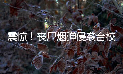 震驚！喪尸煙彈侵襲臺(tái)校園深度報(bào)道