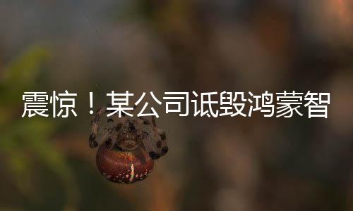 震驚！某公司詆毀鴻蒙智行，多人因涉嫌誹謗被捕