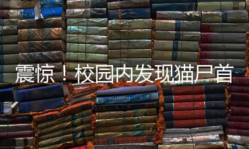 震驚！校園內(nèi)發(fā)現(xiàn)貓尸首分離被塞入課桌，引發(fā)關(guān)注與調(diào)查