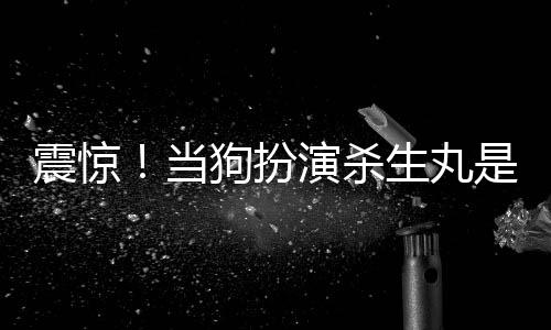 震驚！當(dāng)狗扮演殺生丸是什么鬼？