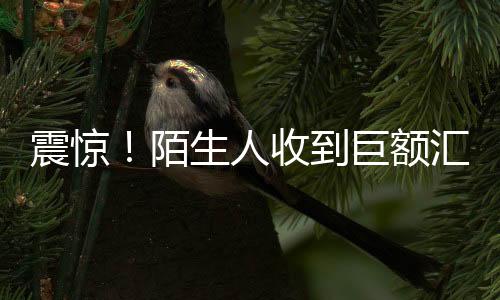 震驚！陌生人收到巨額匯款，1.7億巨額轉(zhuǎn)賬背后的故事