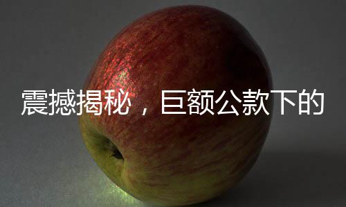 震撼揭秘，巨額公款下的男模追星夢——某單位高層揮霍450萬引發(fā)輿論風(fēng)波