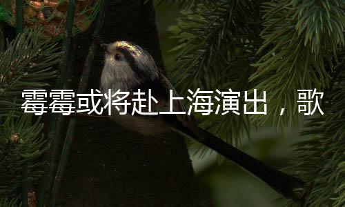 霉霉或將赴上海演出，歌迷期待空前！一場音樂的盛宴即將上演！